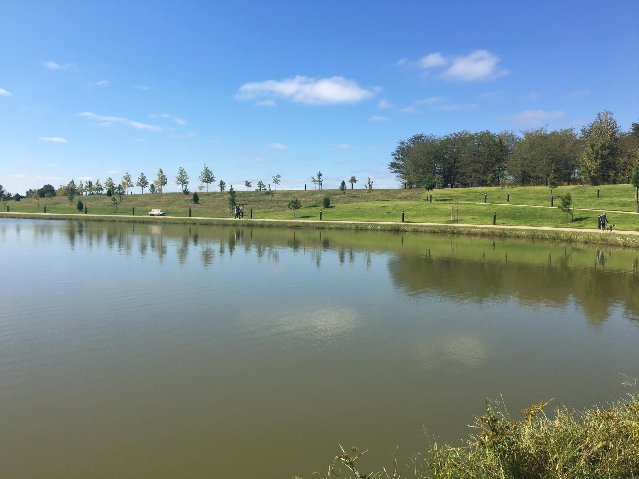 Sunny lake with a green bank and people walking on a distant path.