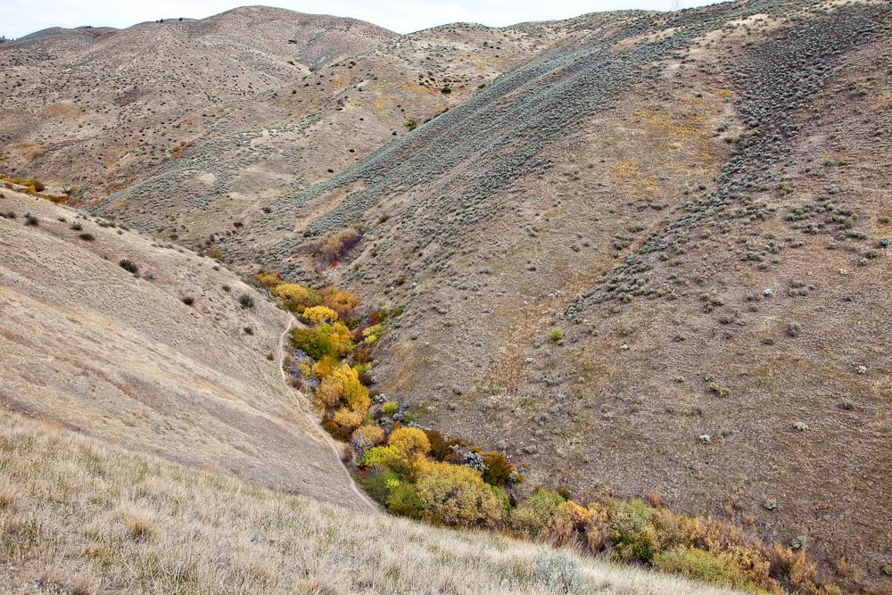 Arid hills with a vibrant green and yellow stream bed in the valley.