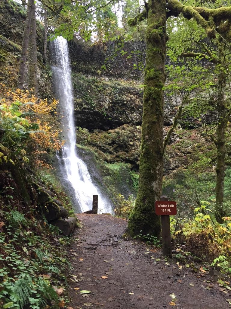 A tall waterfall cascades down a mossy cliff beside a forest path.