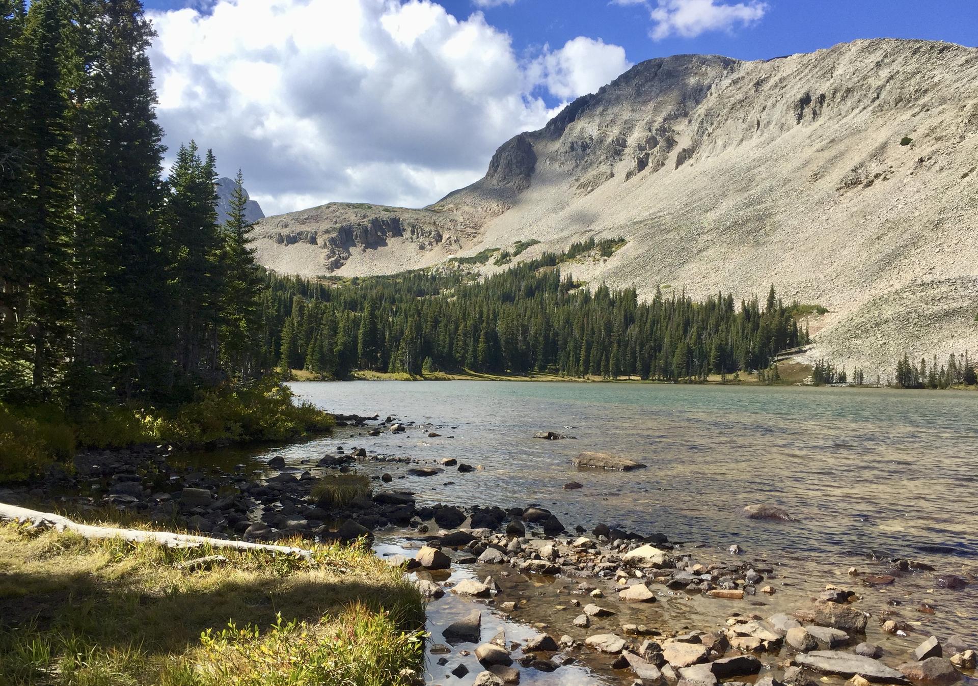 Sunny alpine lake with pine forest and large rocky mountain under cloudy sky.