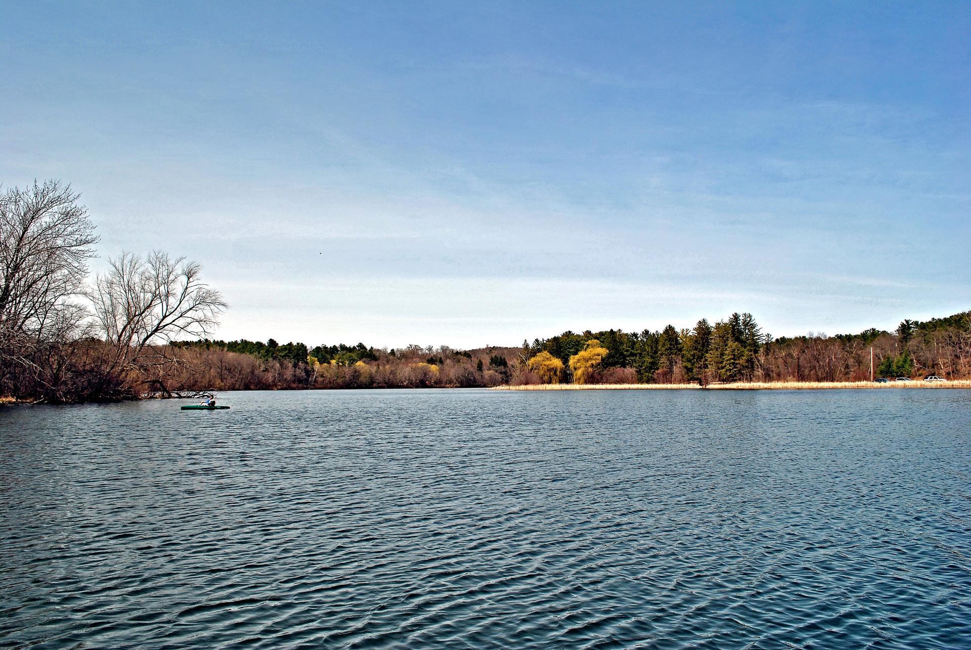 Wide lake view with bare and yellow trees under a clear blue sky.
