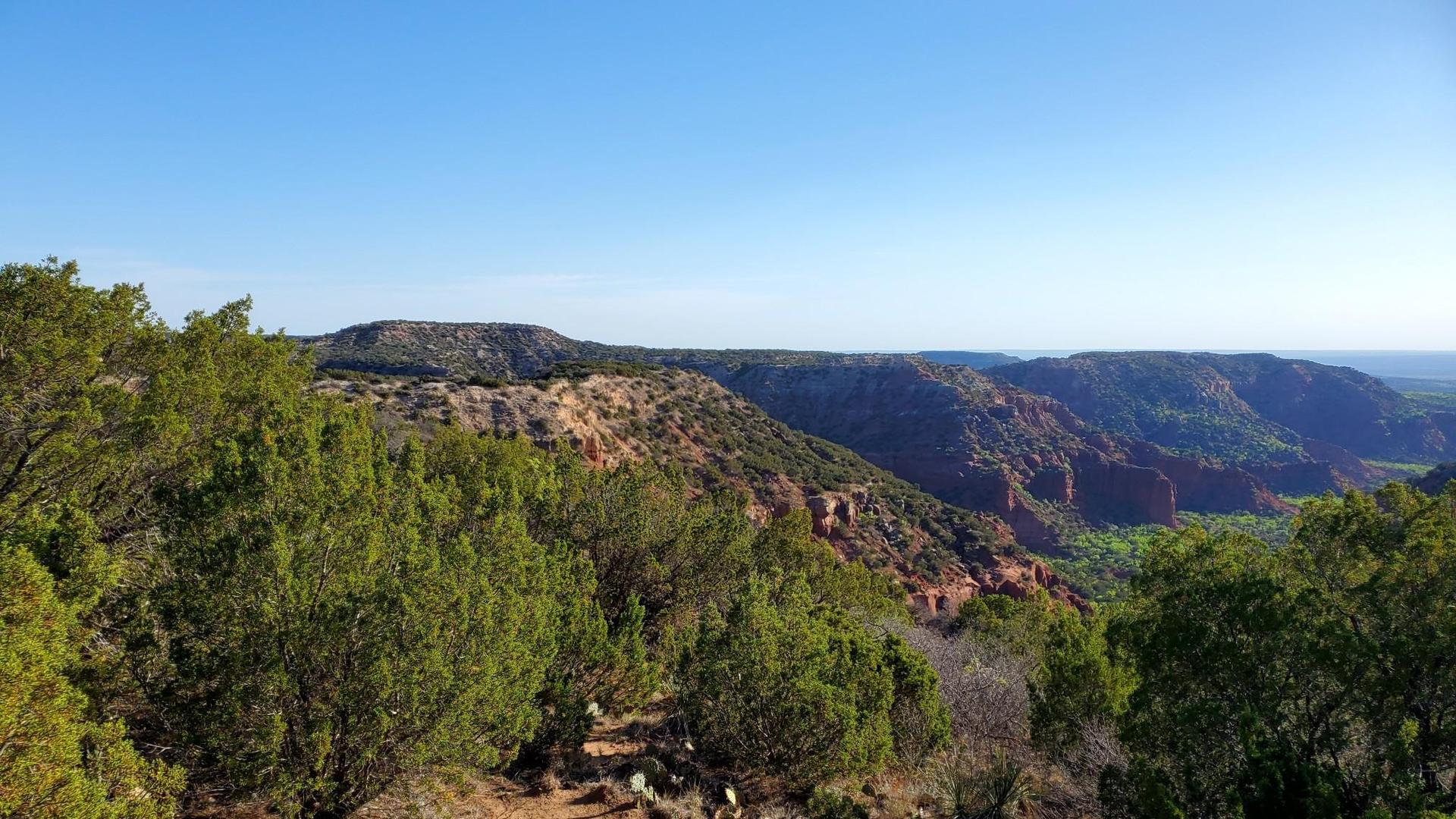 Vast canyon landscape with green trees, red rock formations, under clear blue sky.