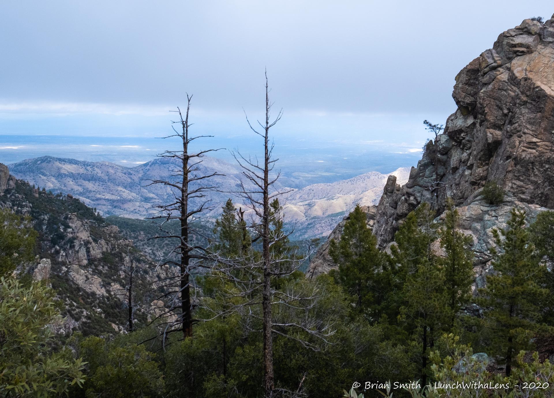 Mountain valley with dead trees, rocky cliffs, and distant peaks under cloudy sky.