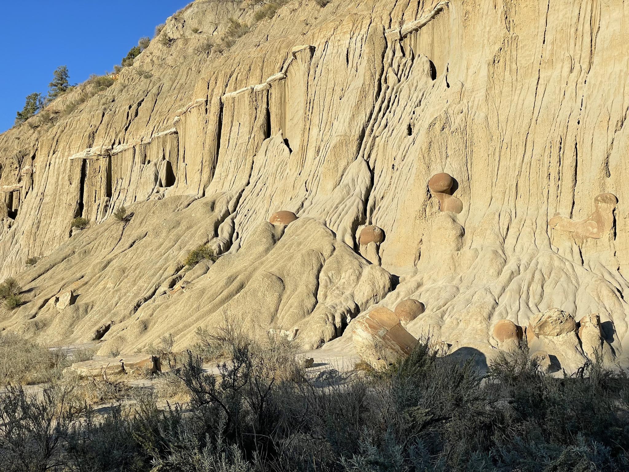 Close-up of a large, textured badlands cliff face with spherical rock formations.