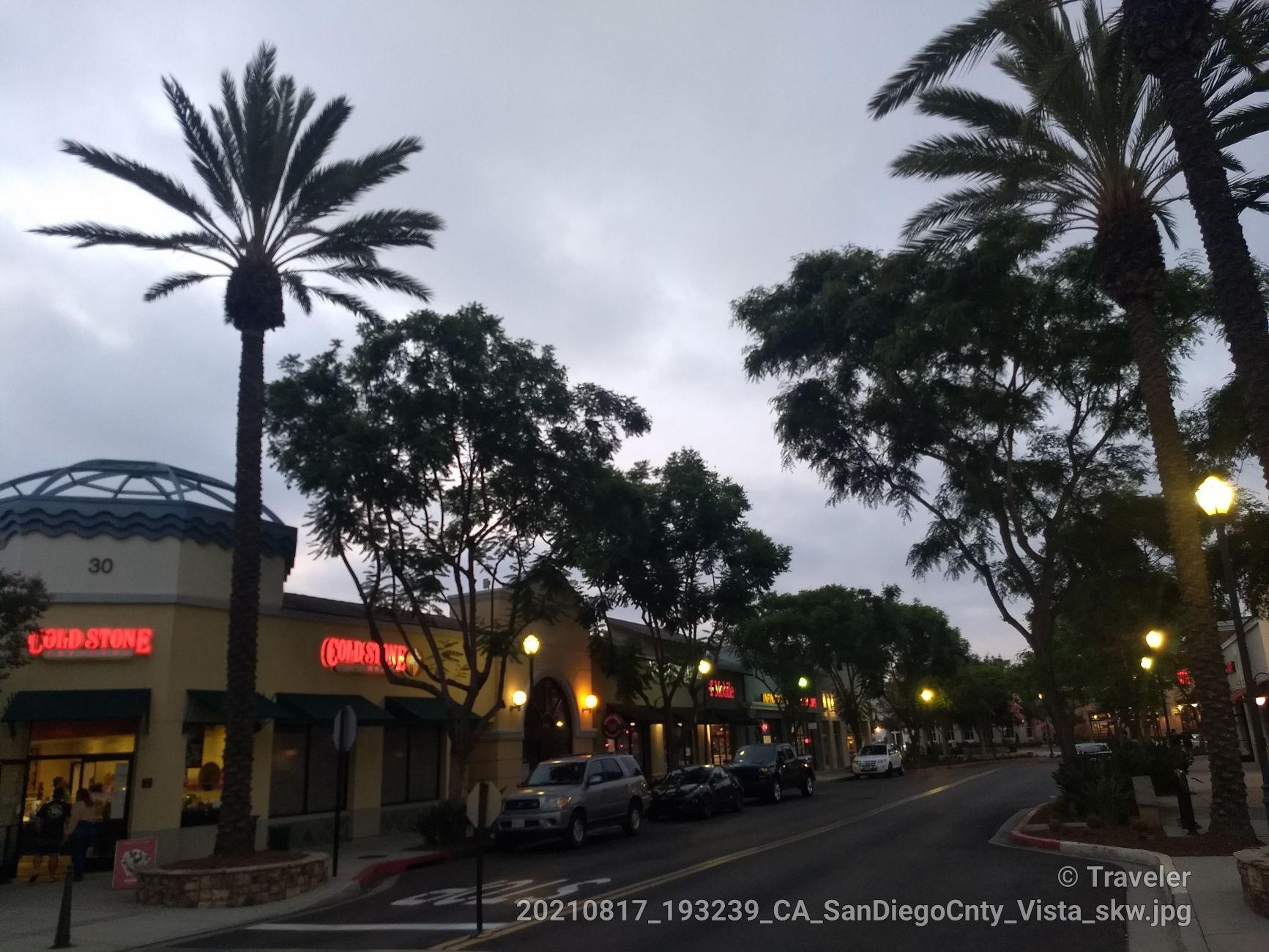 A street lined with shops, palm trees, and illuminated streetlights at dusk.