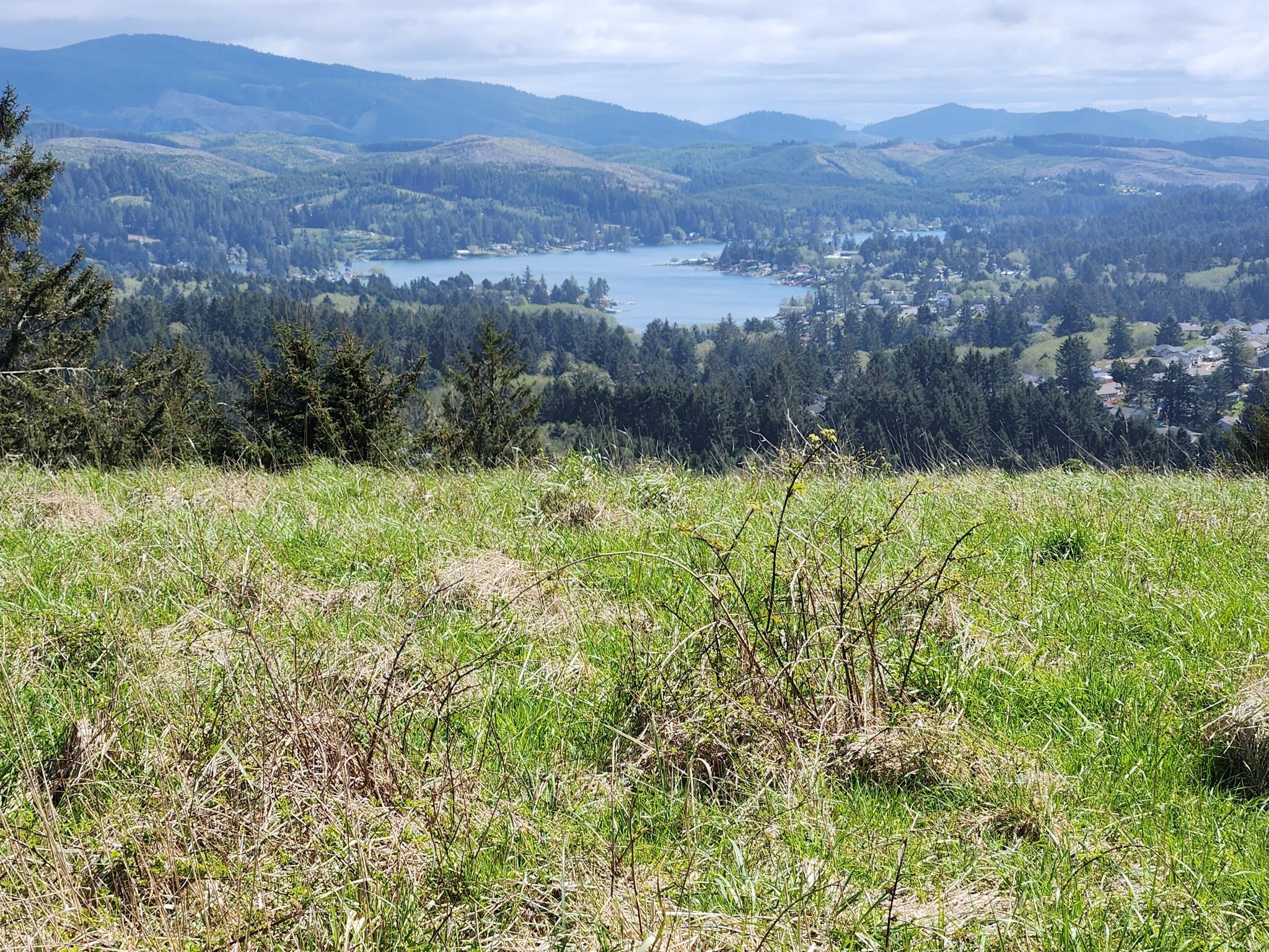 Grassy field foreground with a lake, forest, and mountains in the distance.