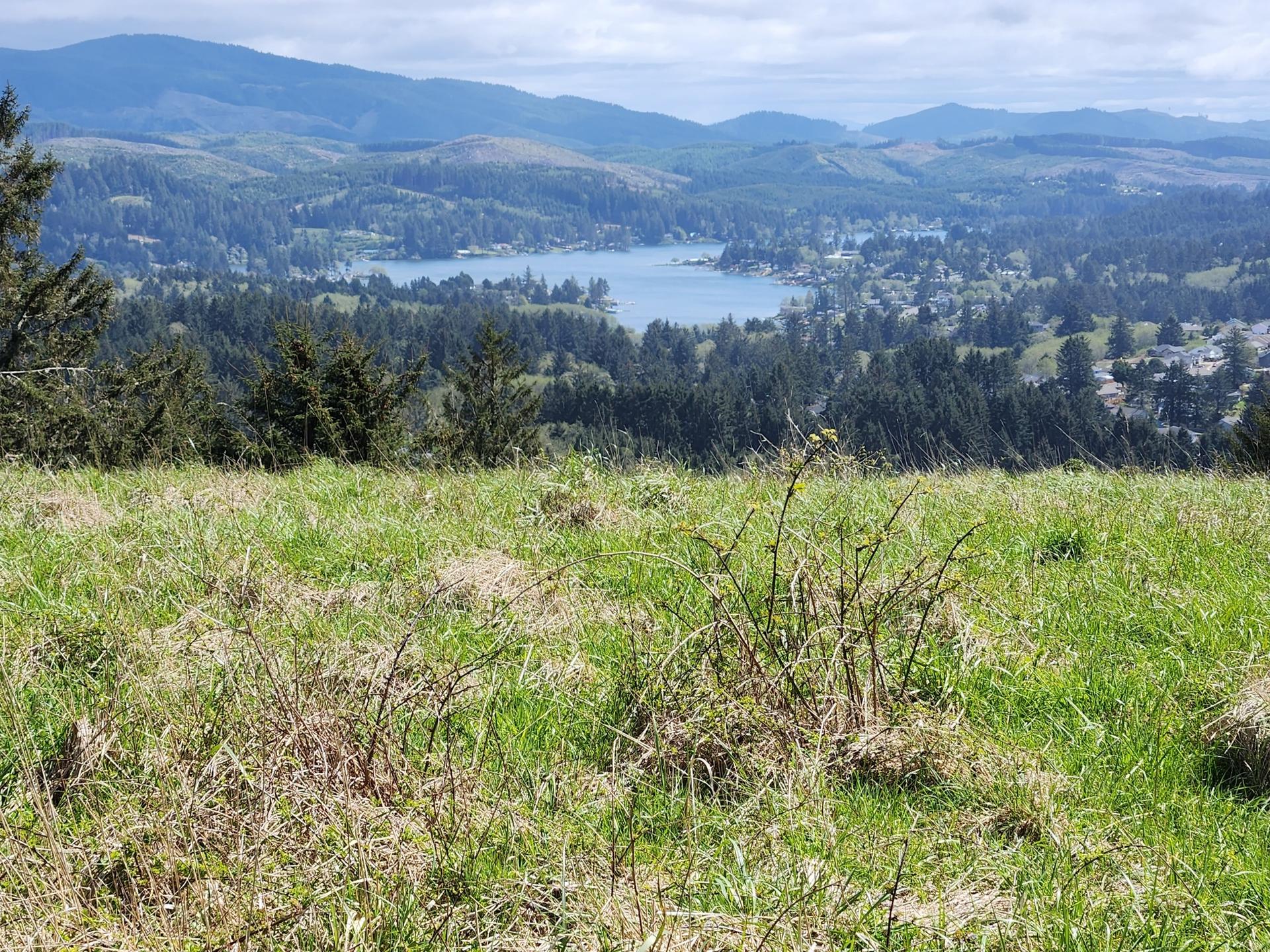 Grassy field foreground with a lake, forest, and mountains in the distance.