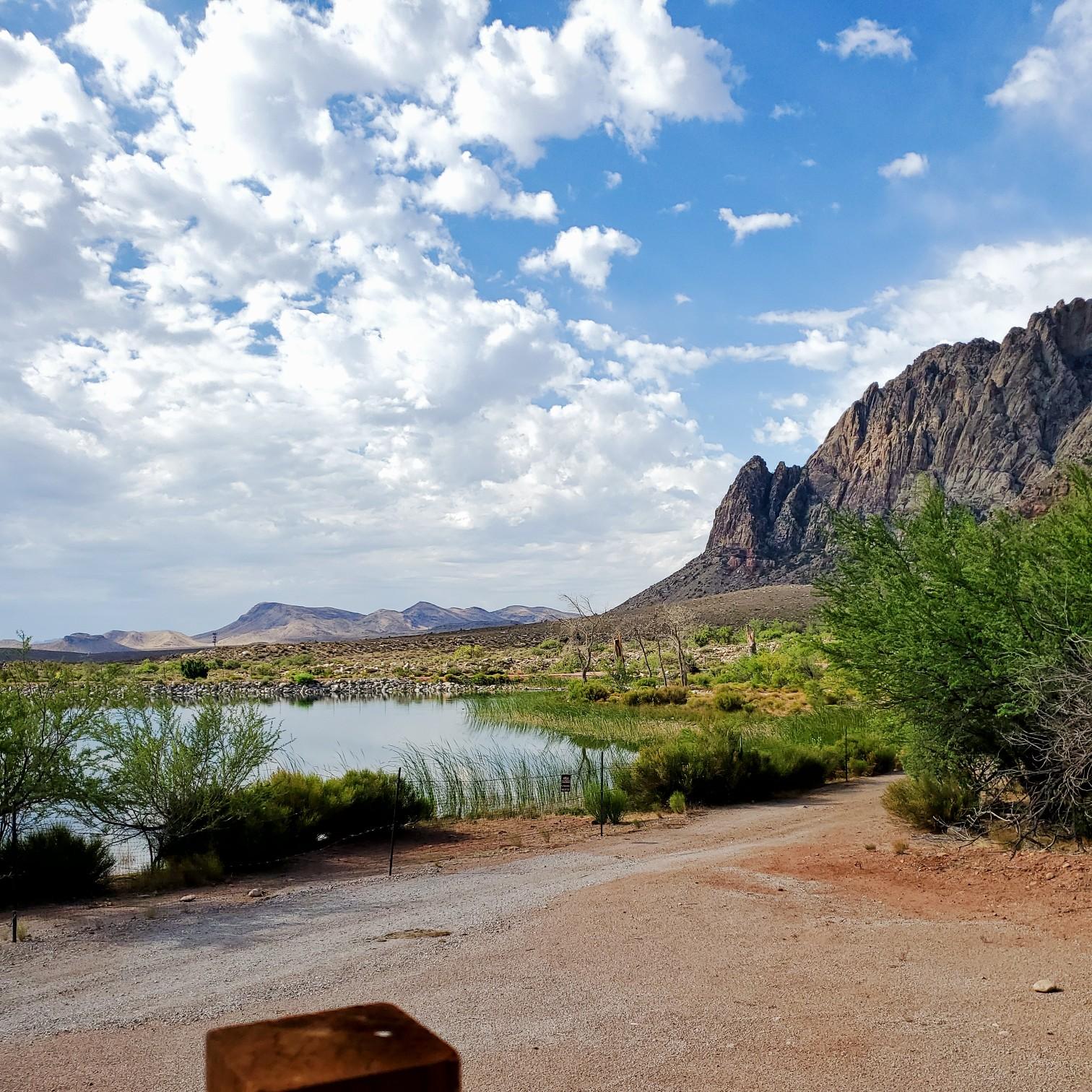A small lake surrounded by desert plants, with mountains in the background.
