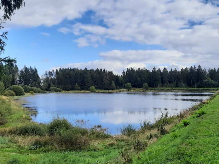 Zankwieser Teich MountainbikeTouren und Trails komoot