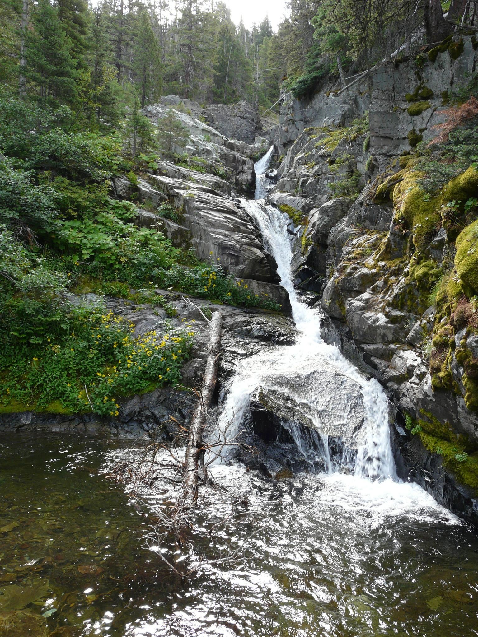 Cascading waterfall over mossy rocks into a clear pool, surrounded by dense forest.