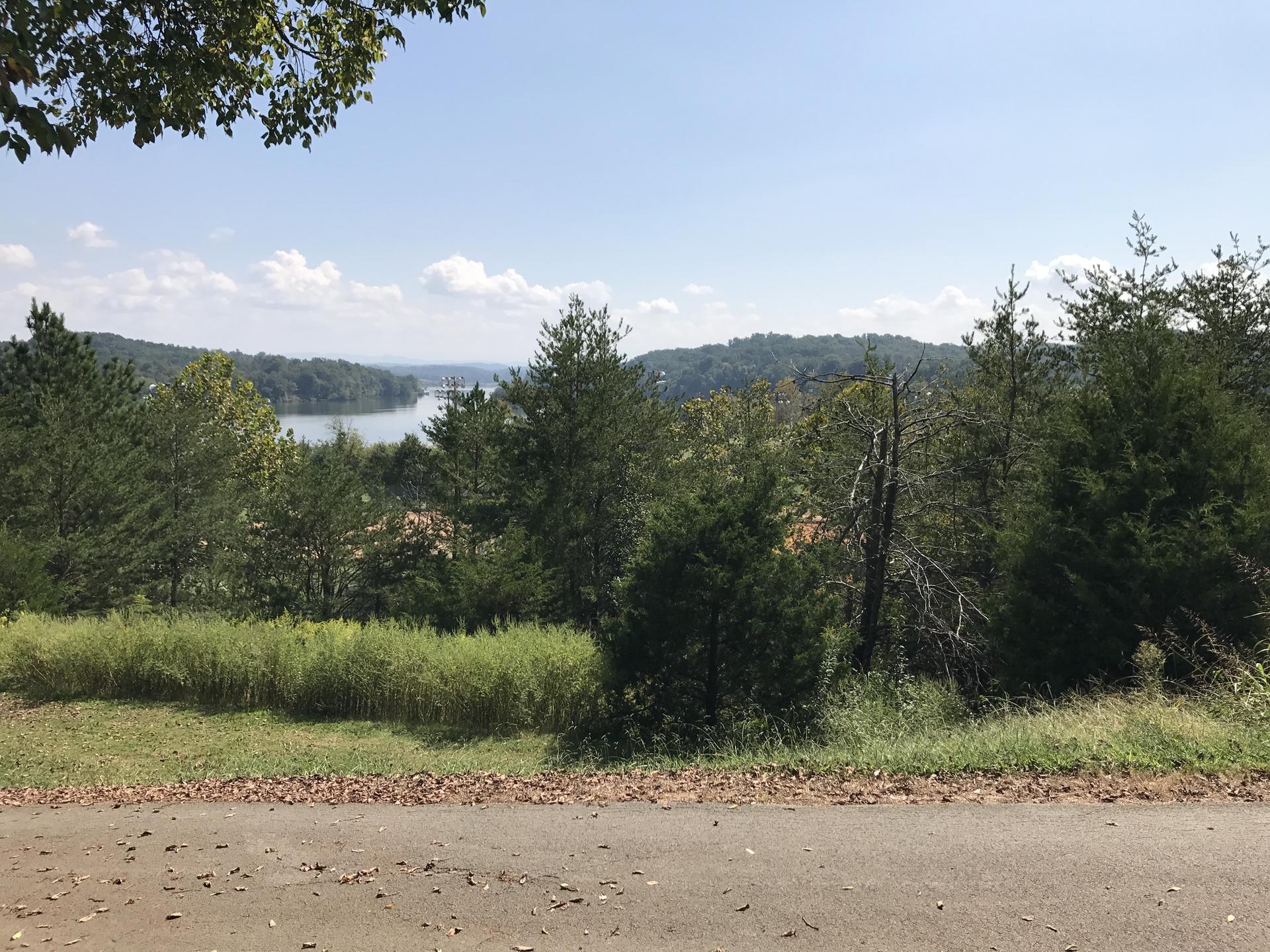Scenic overlook of a lake surrounded by green trees and distant hills under a bright sky.