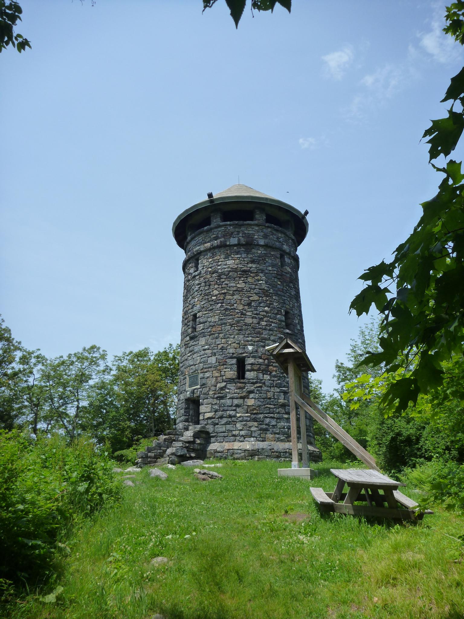 A tall stone tower stands in a grassy clearing under a clear sky.