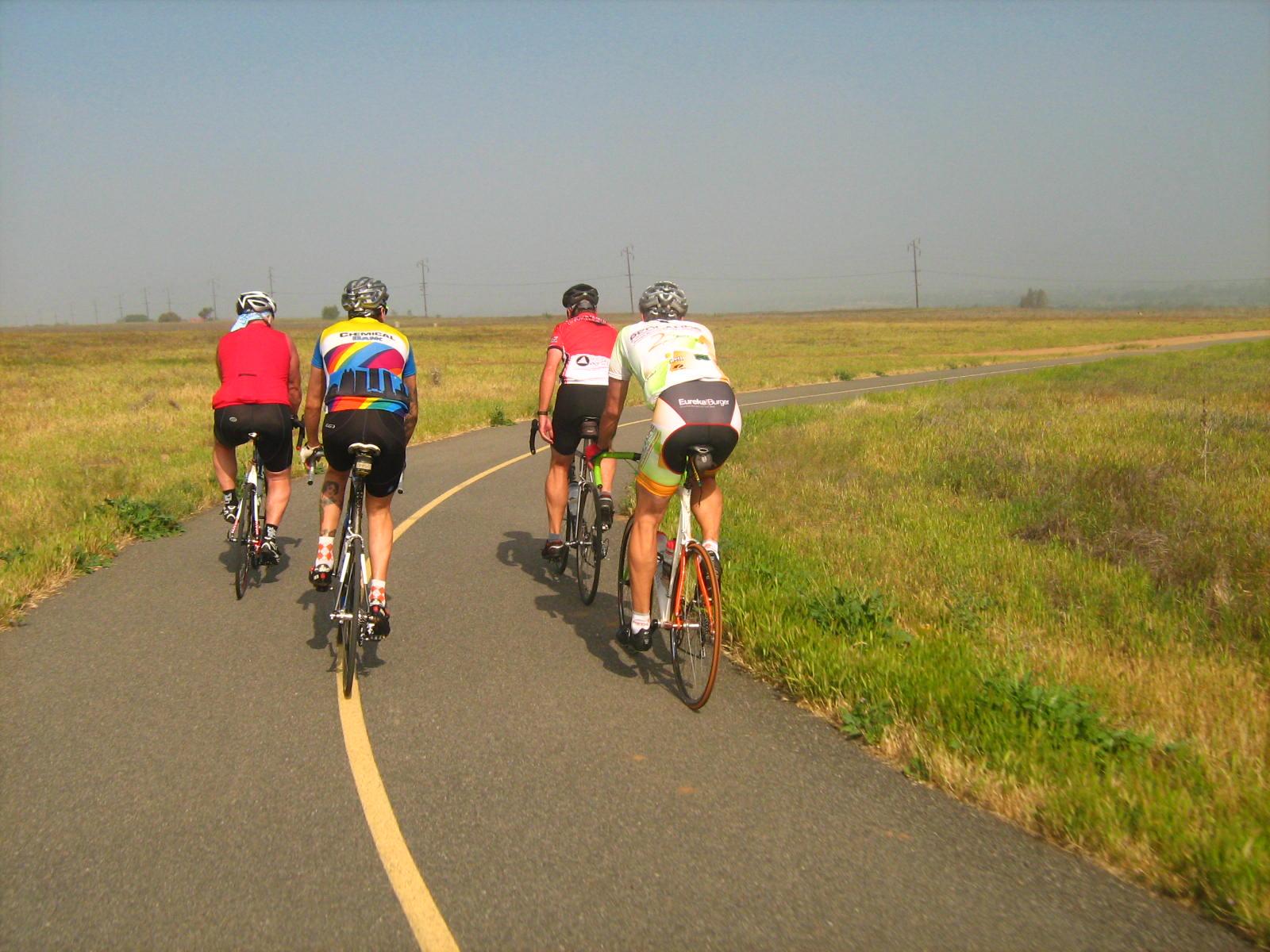 Four cyclists ride on a paved path through sunny, open fields.