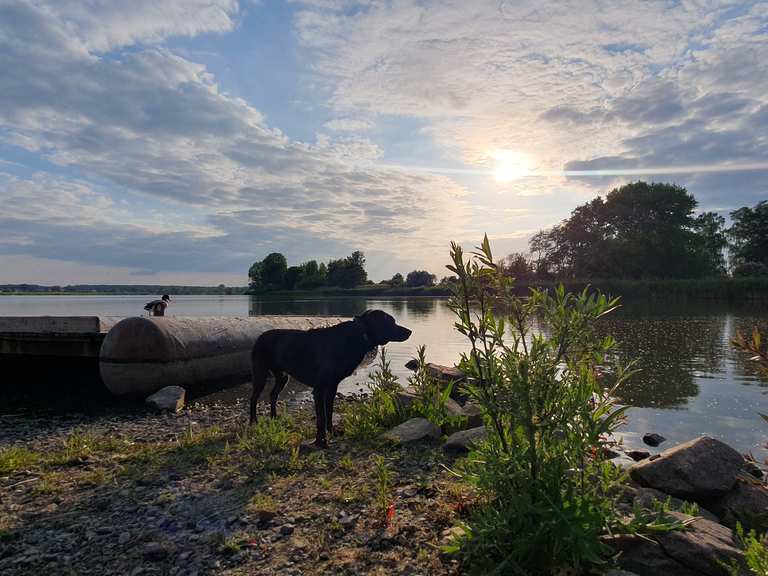 Eschefelder Teiche (Großer Teich) Wanderungen und Rundwege komoot