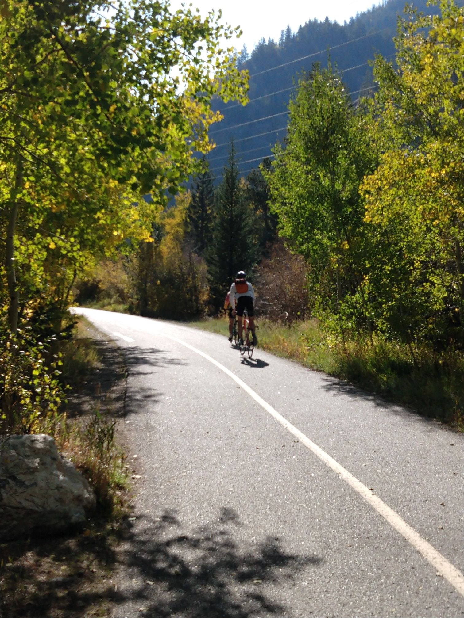 Two people cycling on a sunny, tree-lined paved path with mountains. - Temple Trail