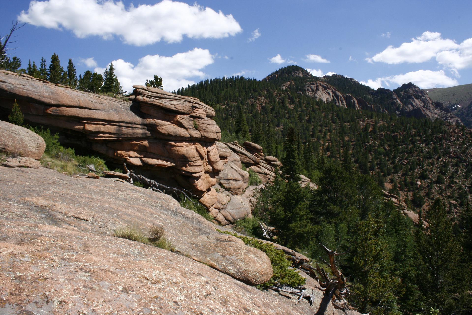Large layered rock formations on a sunny mountain slope with evergreen trees.