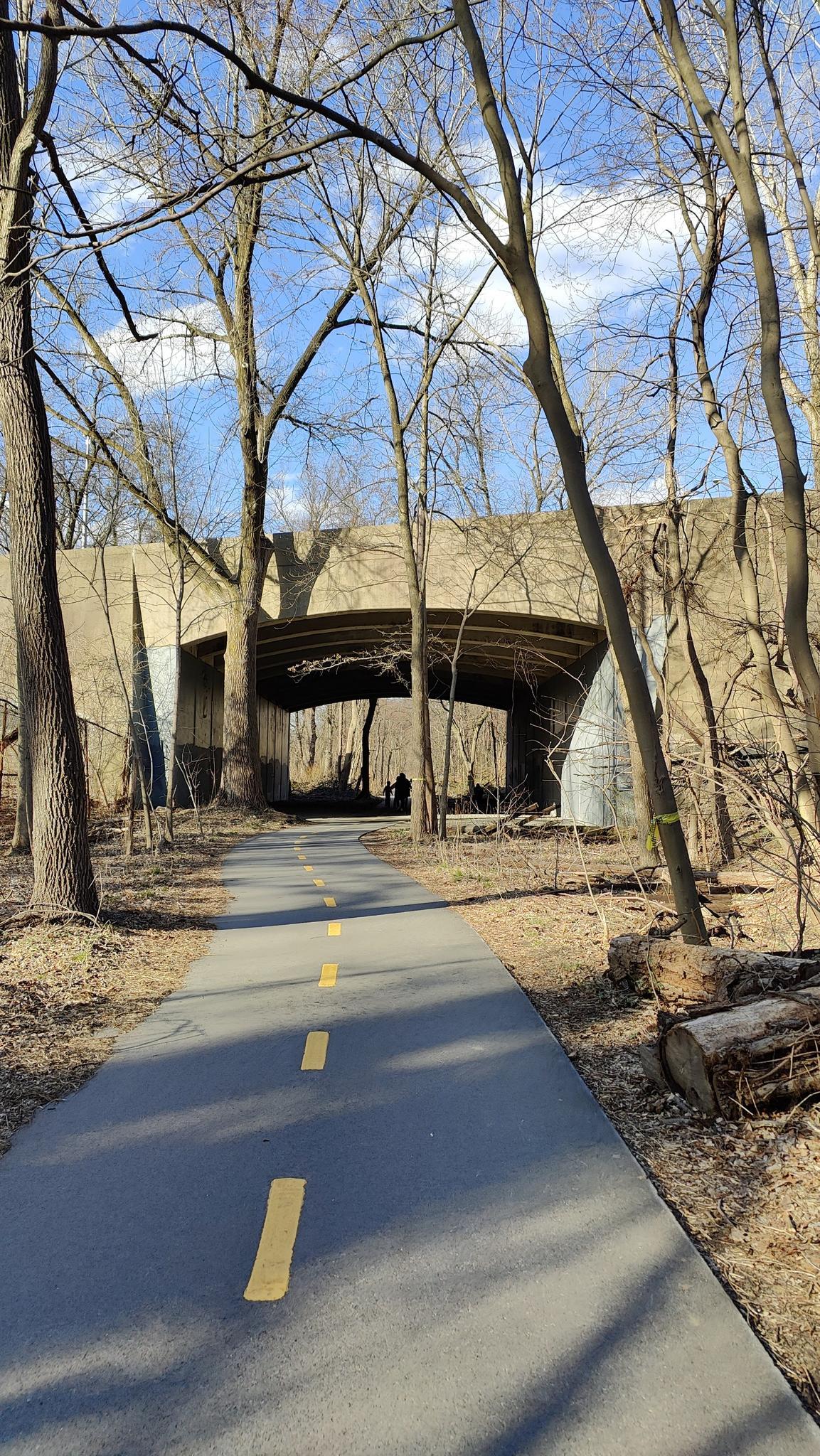 Paved path with yellow lines leading under a concrete bridge in a bare forest.