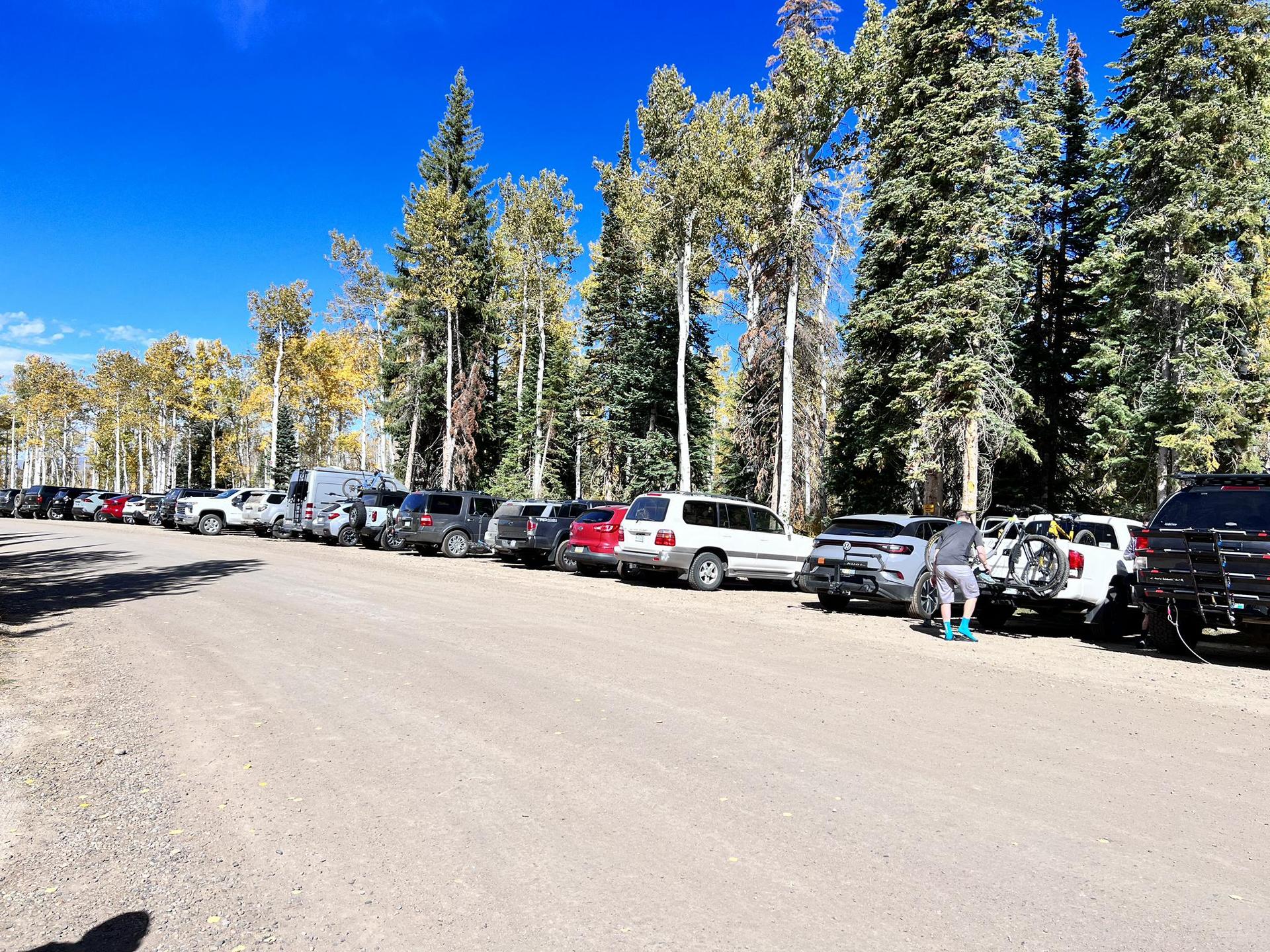 Many vehicles parked along a dirt road lined with tall trees on a sunny day.