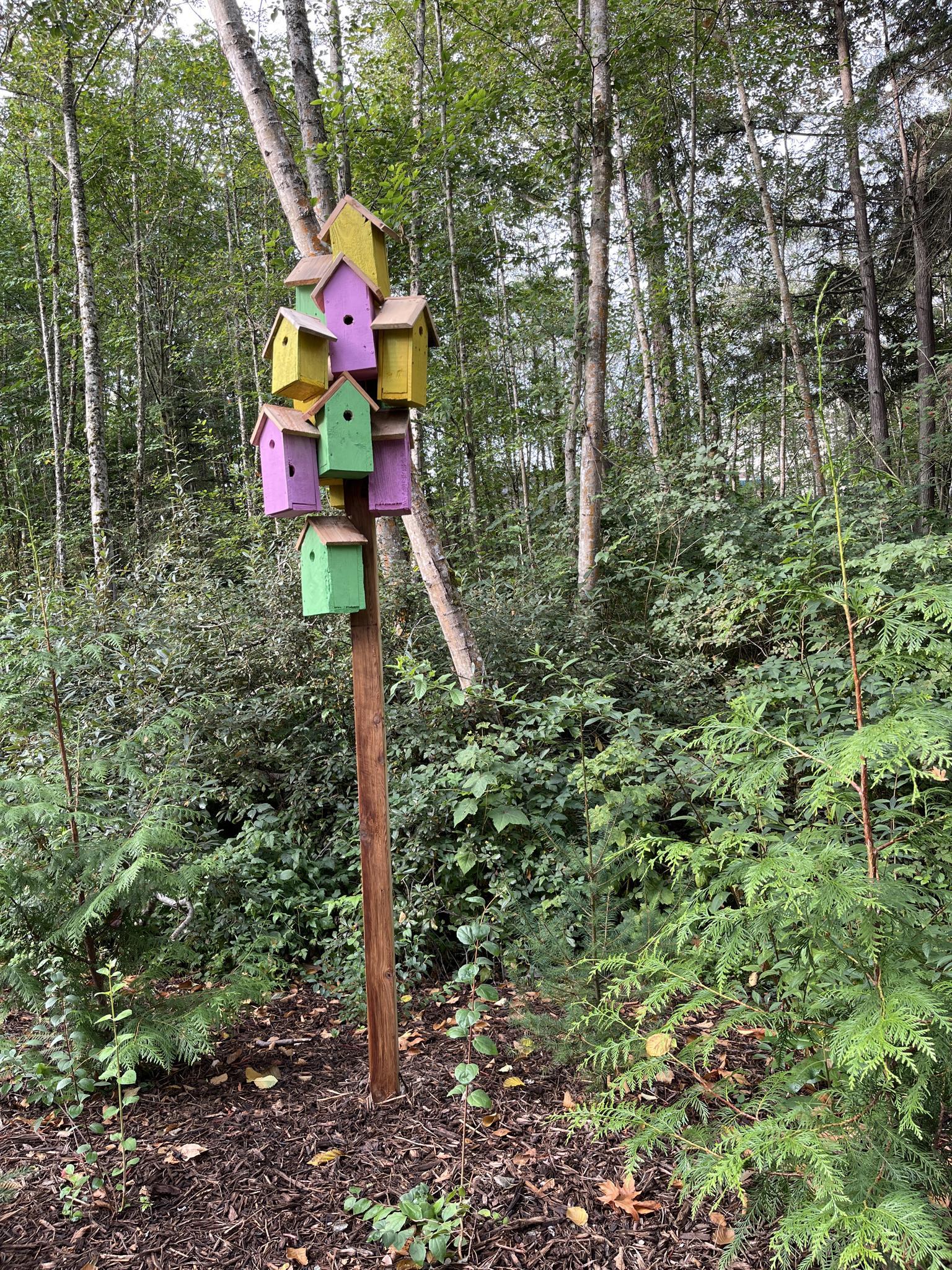 Colorful birdhouses stacked on a pole in a dense green forest, bright light.