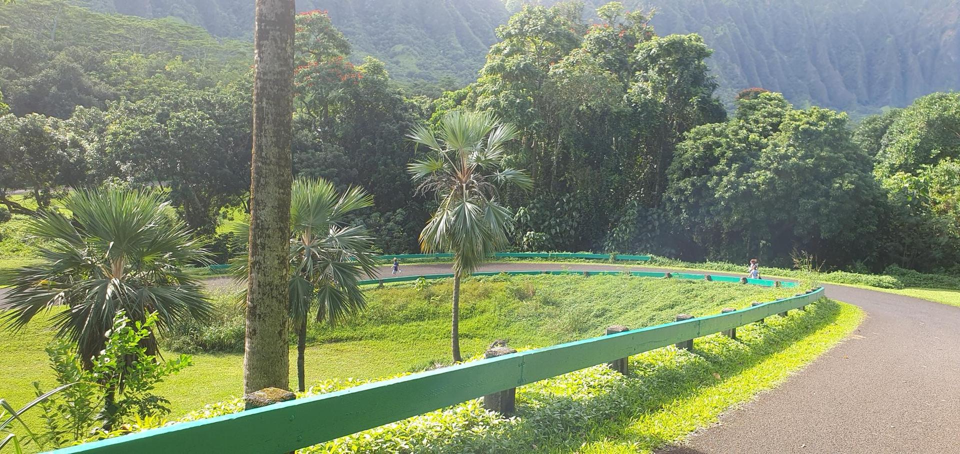 Sunny winding road with green guardrail, palm trees, and lush hills.