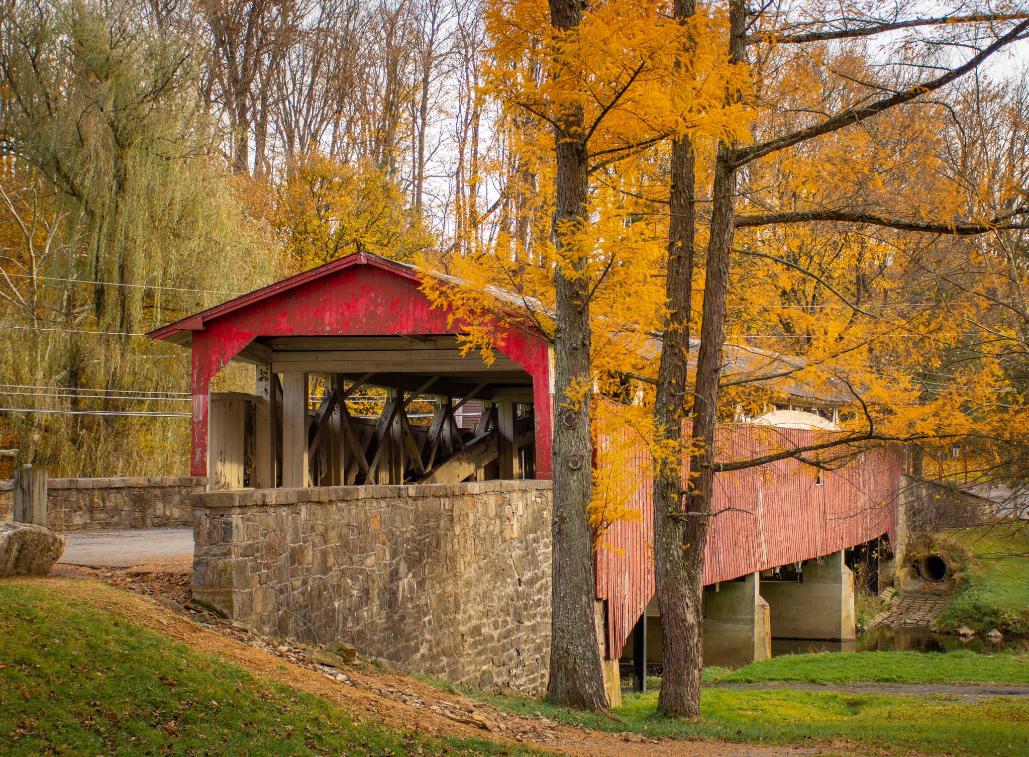 A red covered bridge surrounded by vibrant autumn trees in warm light.