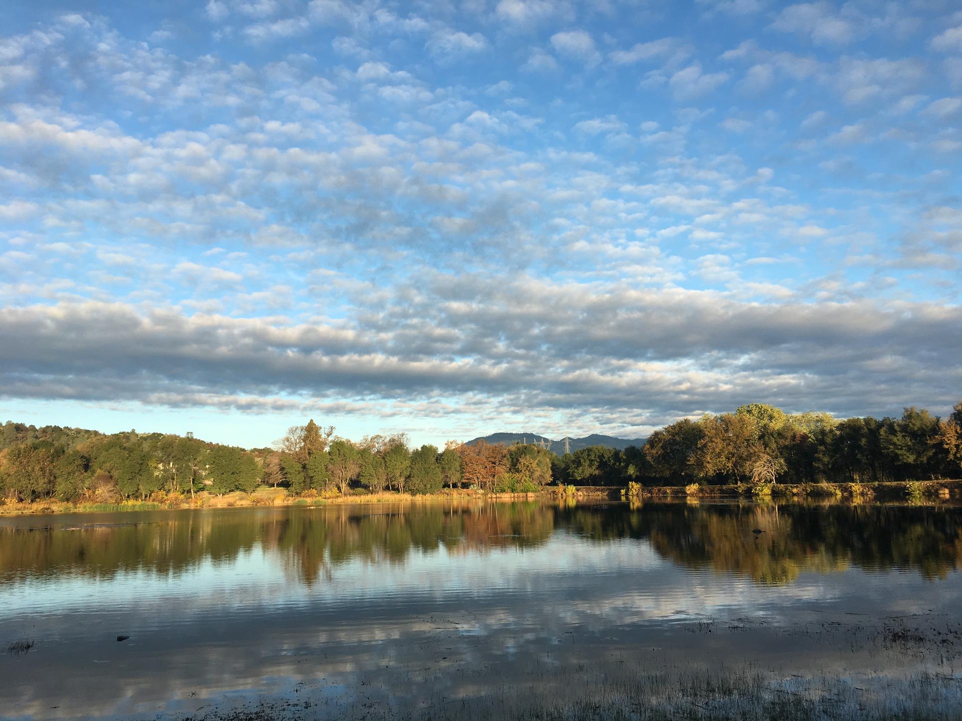 Calm lake reflecting trees and a partly cloudy sky with soft light.