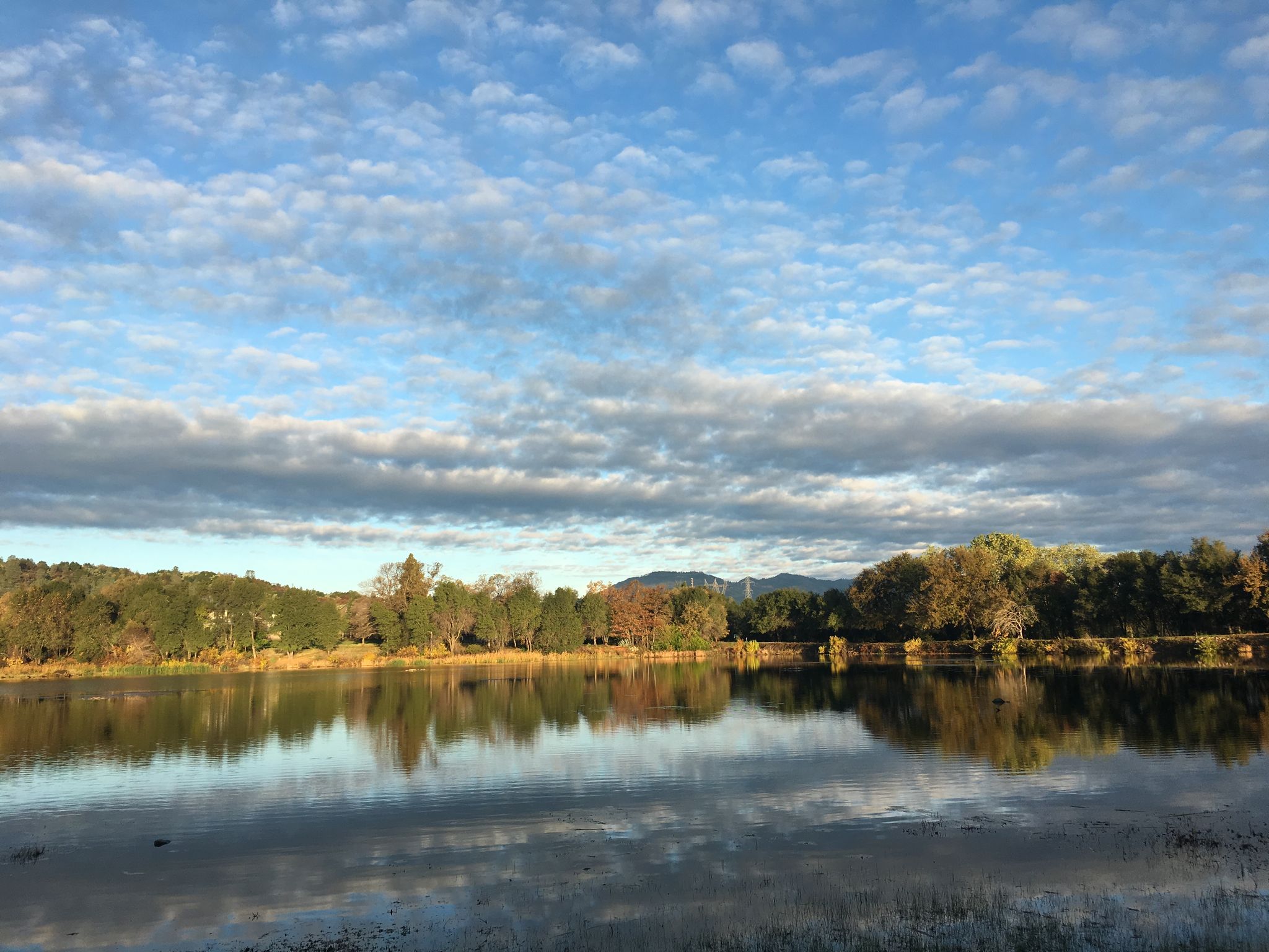 Calm lake reflecting trees and a partly cloudy sky with soft light. - Mary Lake – Salt Creek Trail loop from Pilgrim Congregational Church