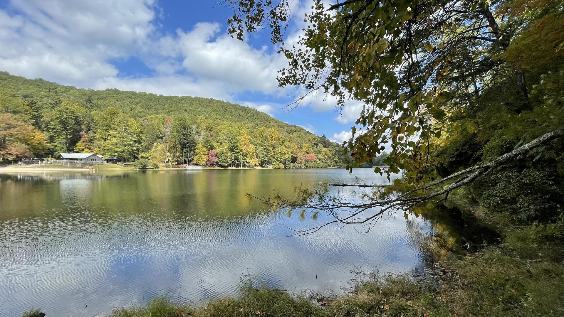 Calm lake reflecting clouds, surrounded by green and autumn trees.