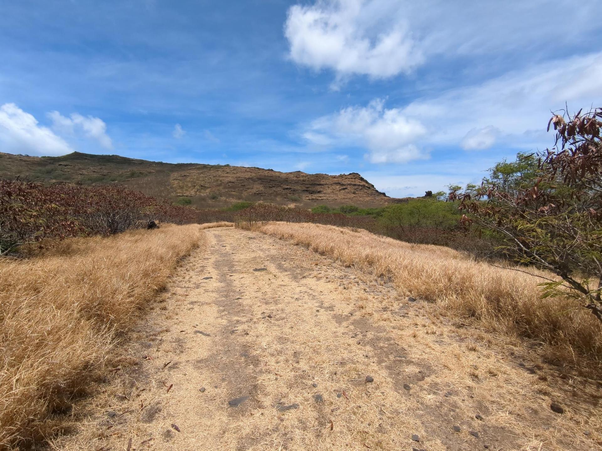 A dusty path winds through dry golden grass under a bright, cloudy sky.