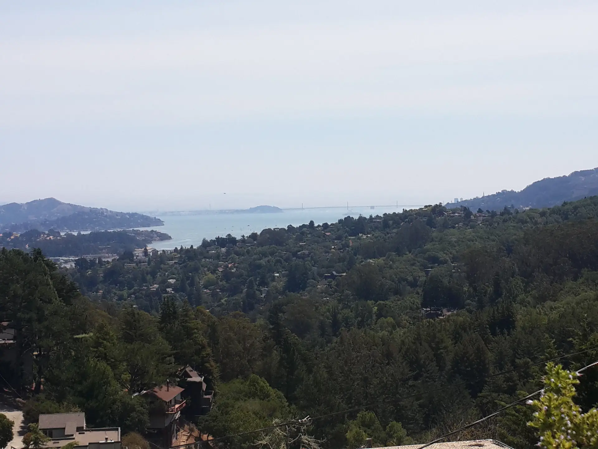 Expansive view of tree-covered hills, distant water, and scattered homes under hazy sky.