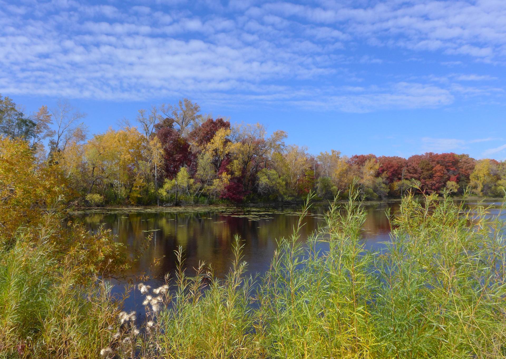 A vibrant autumn forest lines a calm river under a bright blue sky.