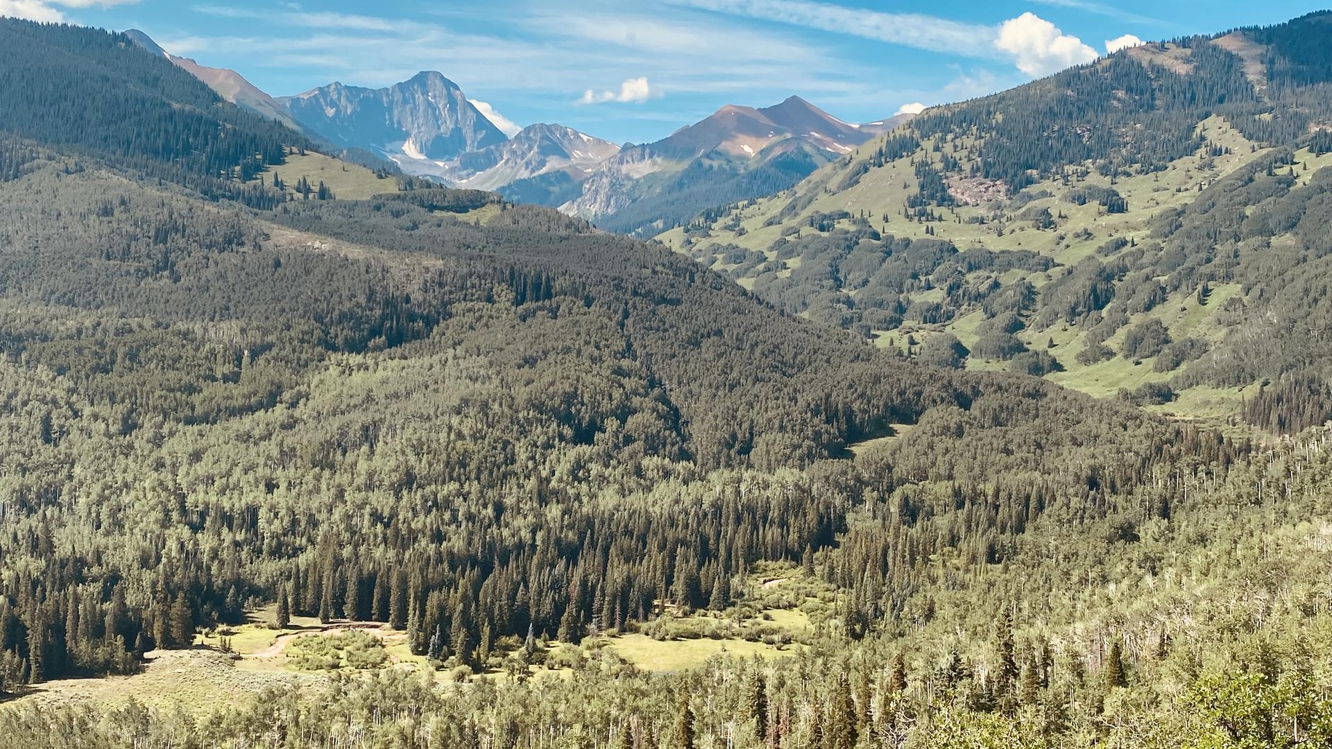 Vast mountain valley with dense green forests and distant peaks under a bright sky.
