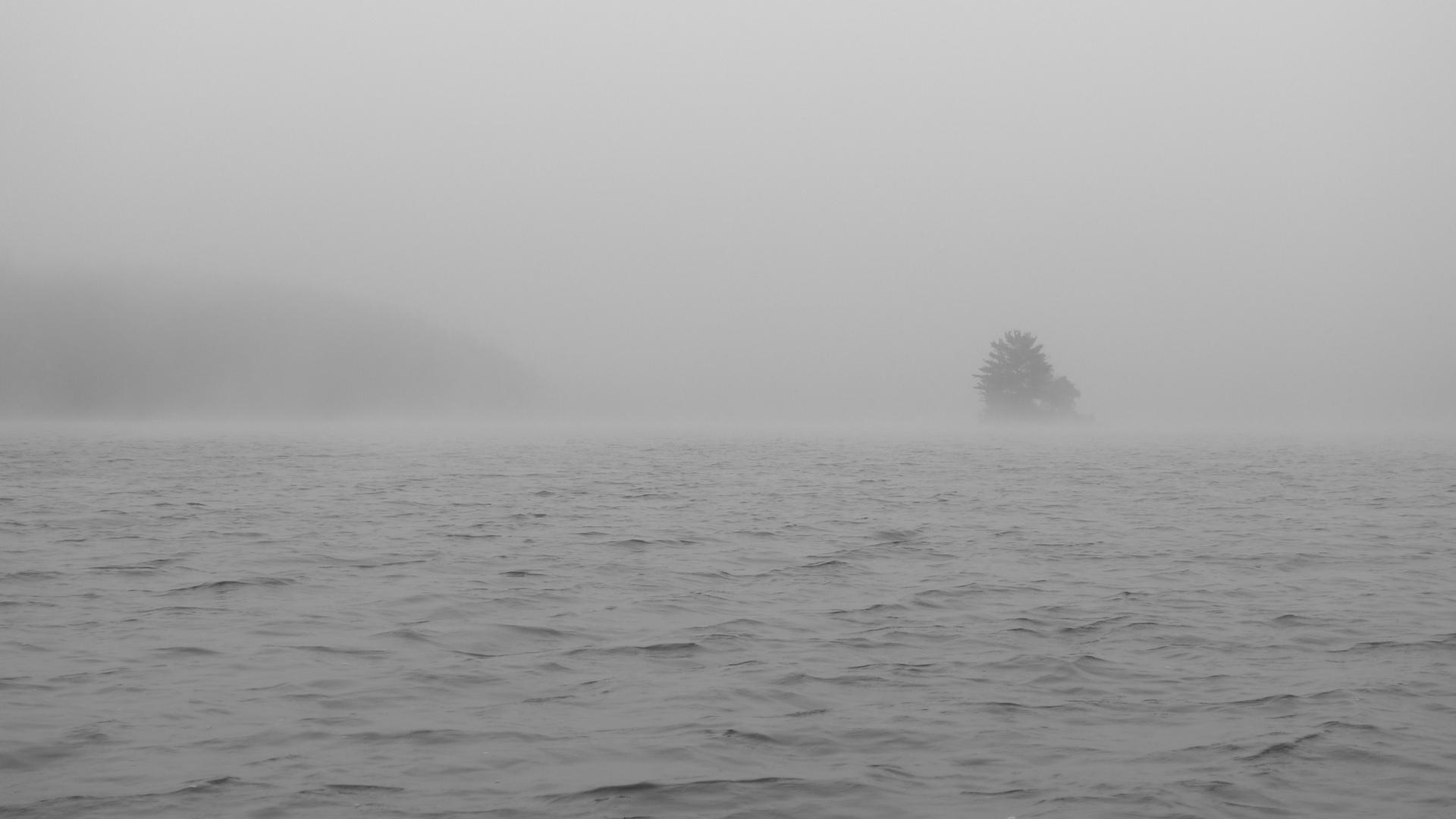 Misty, foggy lake with a small island of trees in the distance.