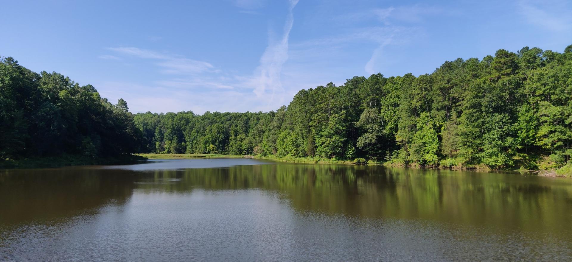 Wide view of a calm lake surrounded by lush green forest under blue sky.