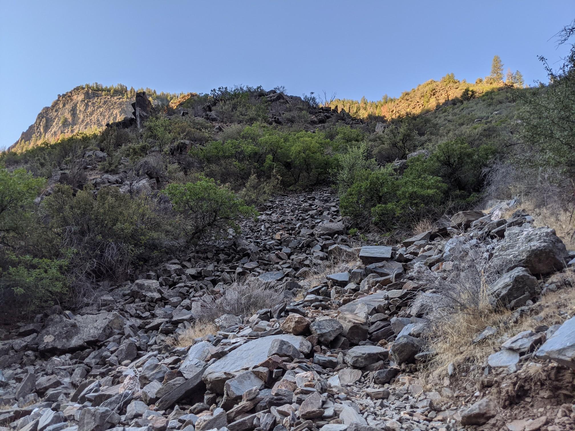 Rocky, steep hillside with scattered green bushes under bright sunlight.