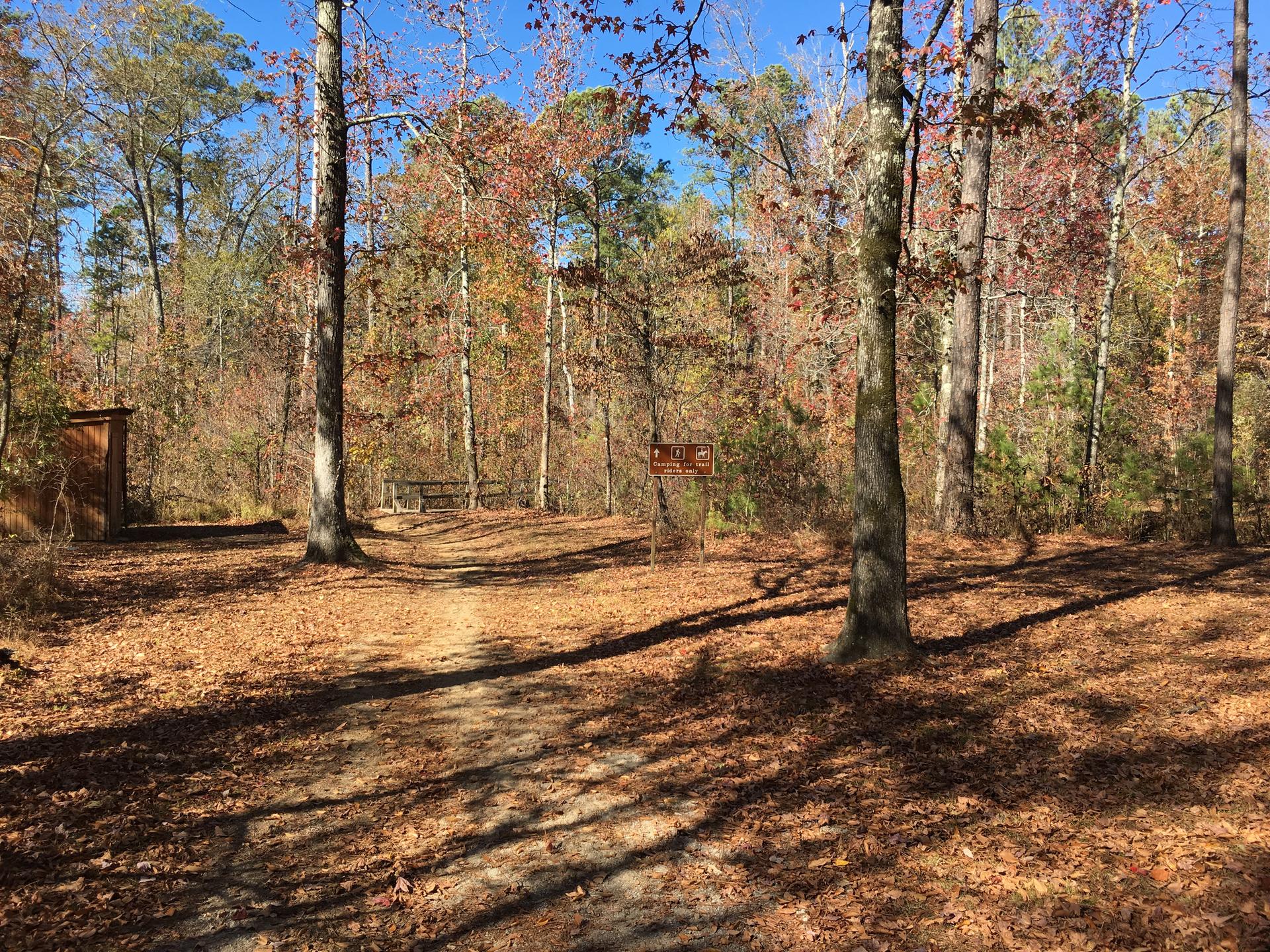 Sunny forest path covered in fallen leaves, with a small building and sign.