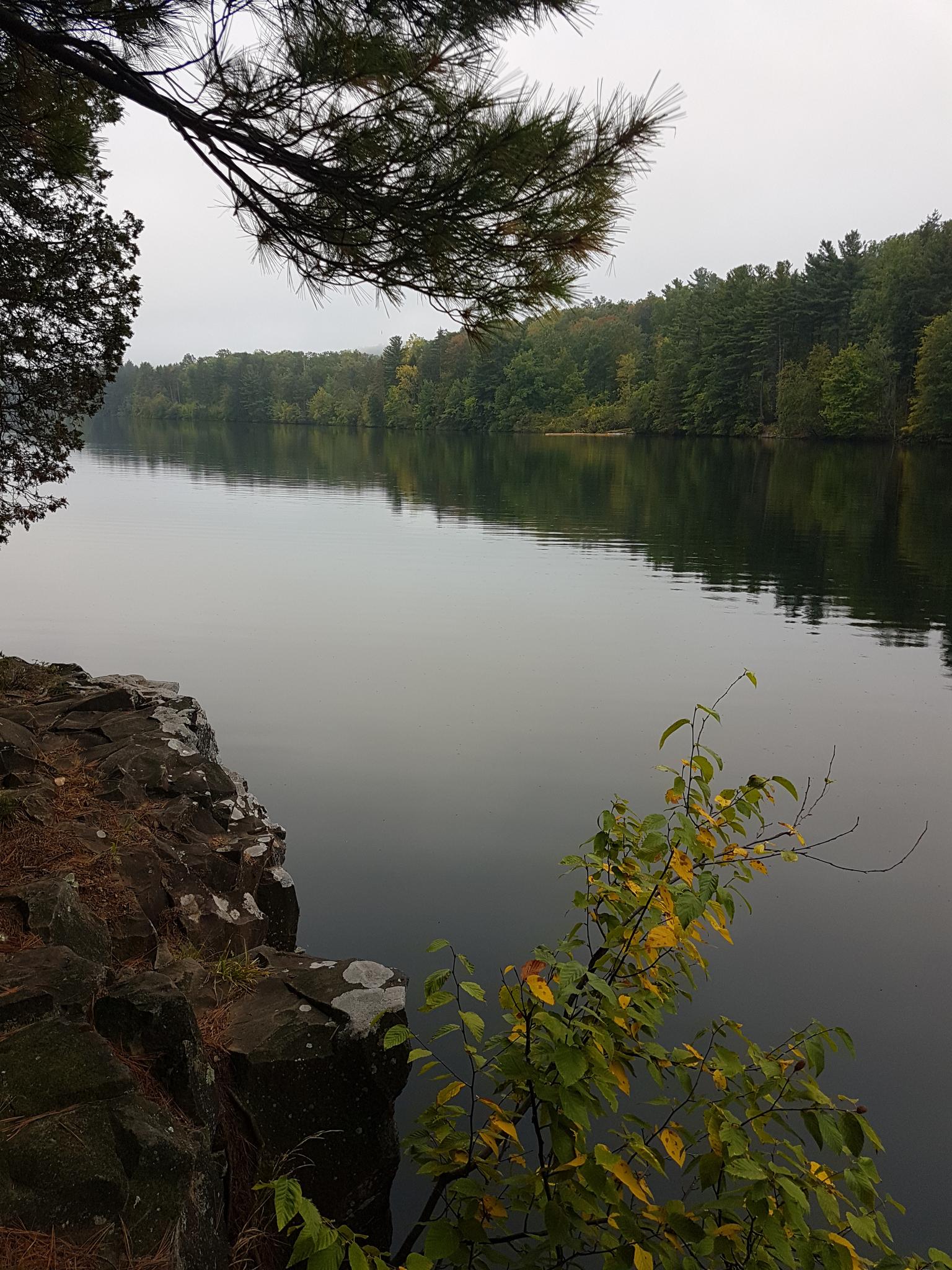 Calm lake reflecting green and autumn trees under an overcast sky.