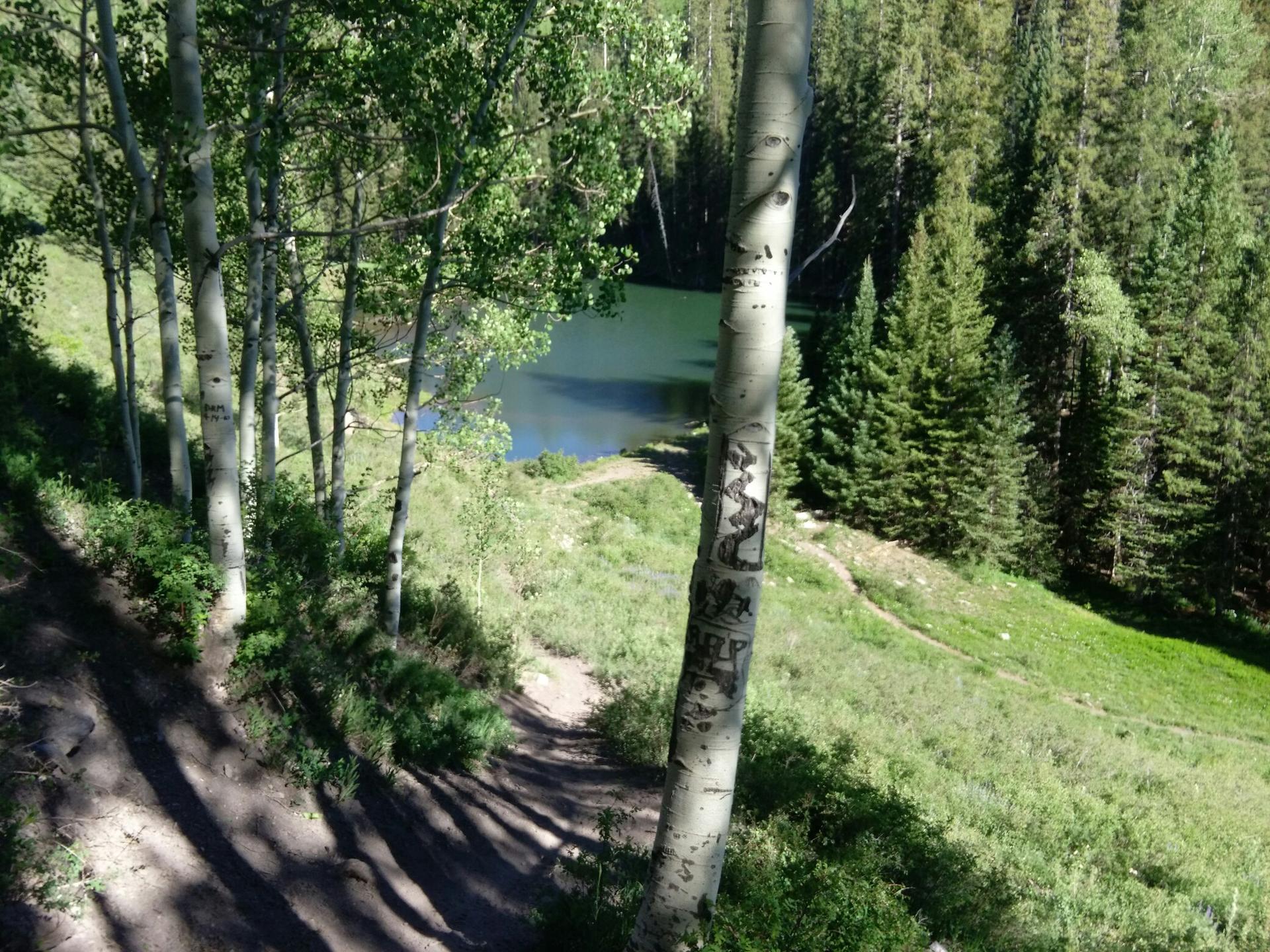Dappled sunlight on a dirt path leading to a small lake surrounded by trees.