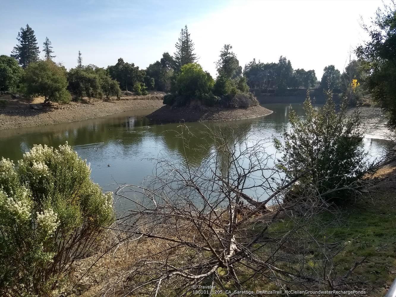 Calm lake with an island, framed by green bushes and trees under a bright sky.
