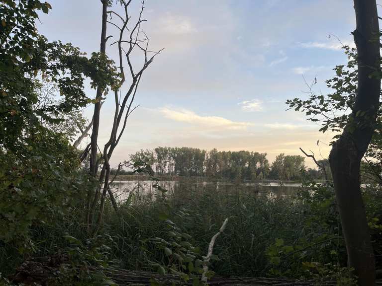 Cösitzer Teich Touren und Karten komoot