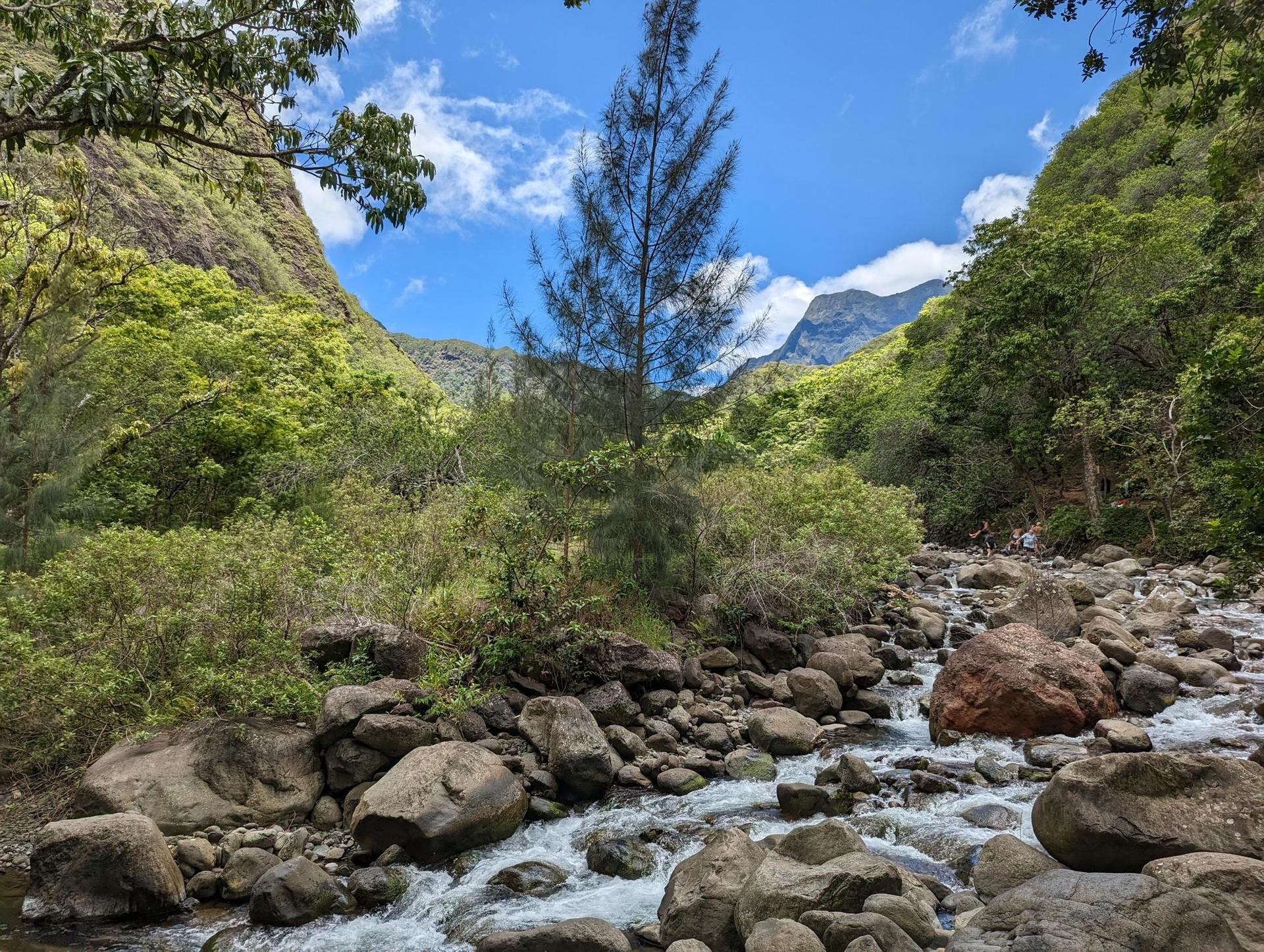 Rocky river with rapids in a green mountain valley under a blue sky.