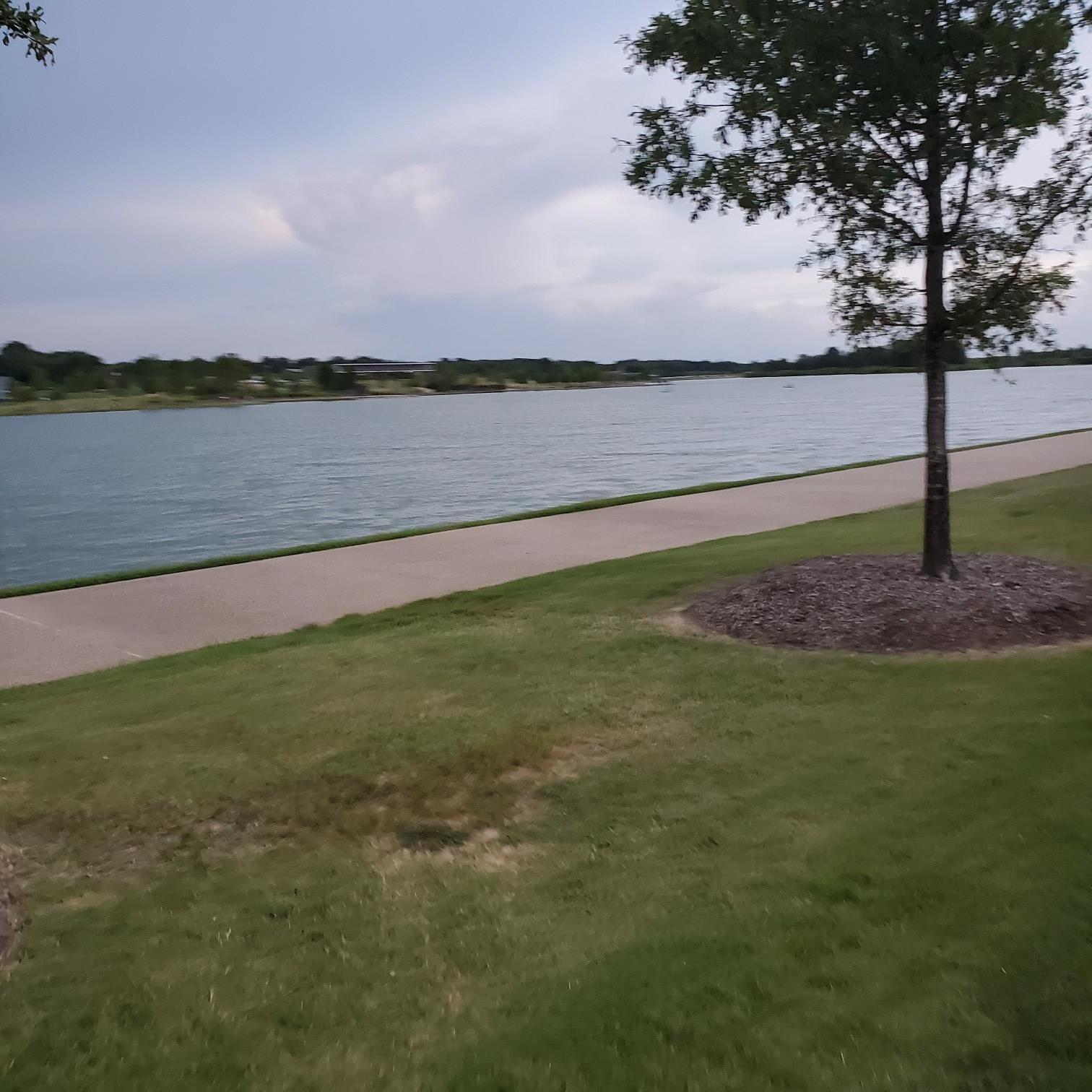 Calm lake, paved path, green grass, and tree under an overcast sky.