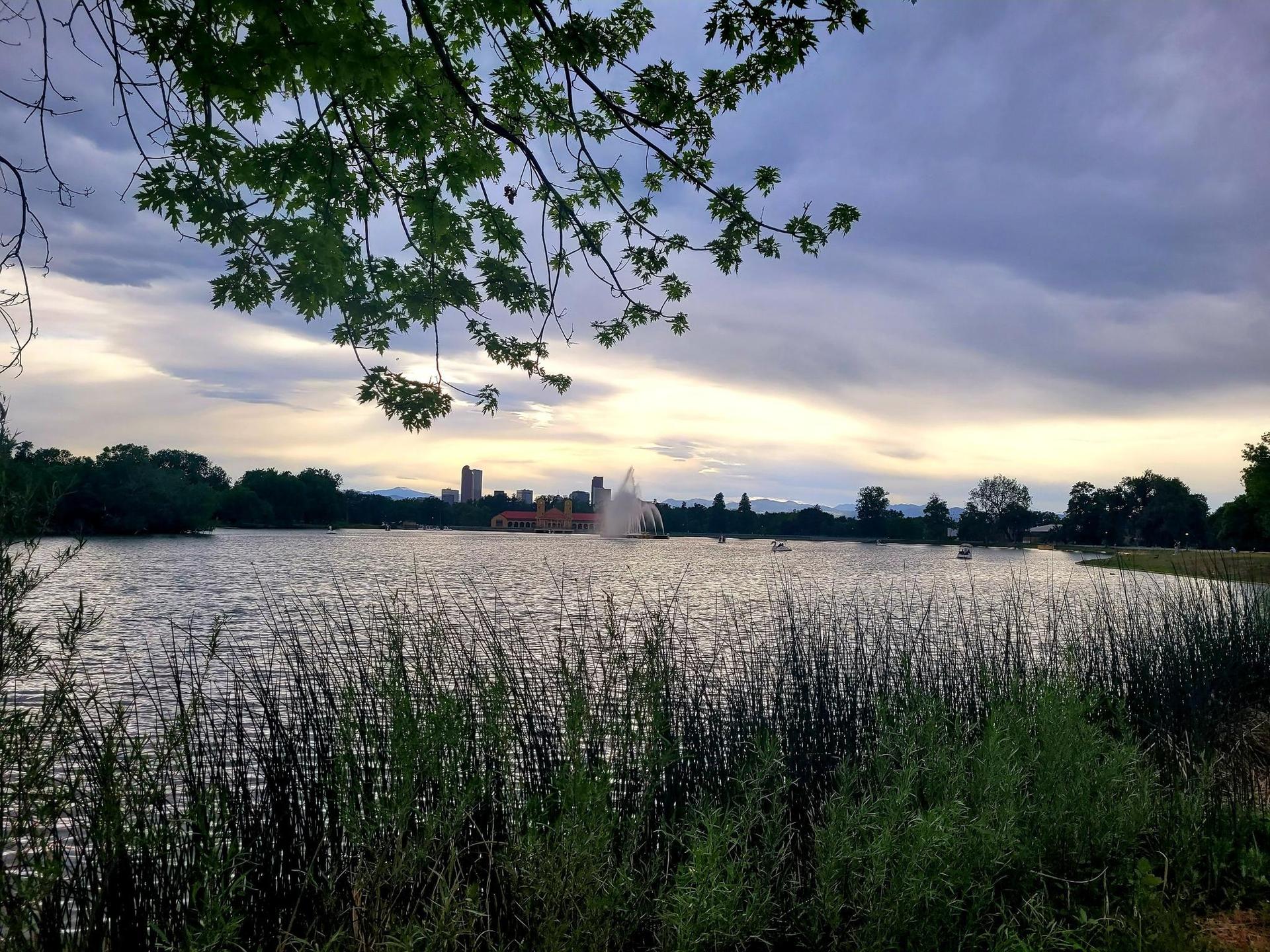 A lake with a fountain, reeds, and distant buildings under a cloudy sky.