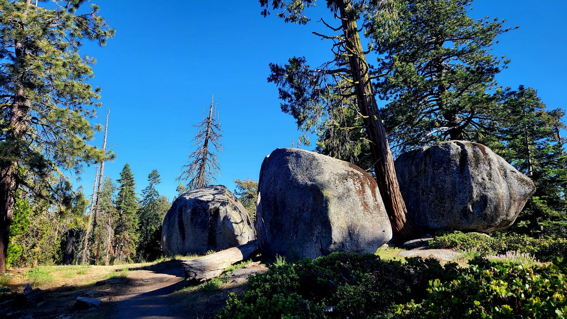 Large boulders and pine trees beside a dirt path on a sunny day.