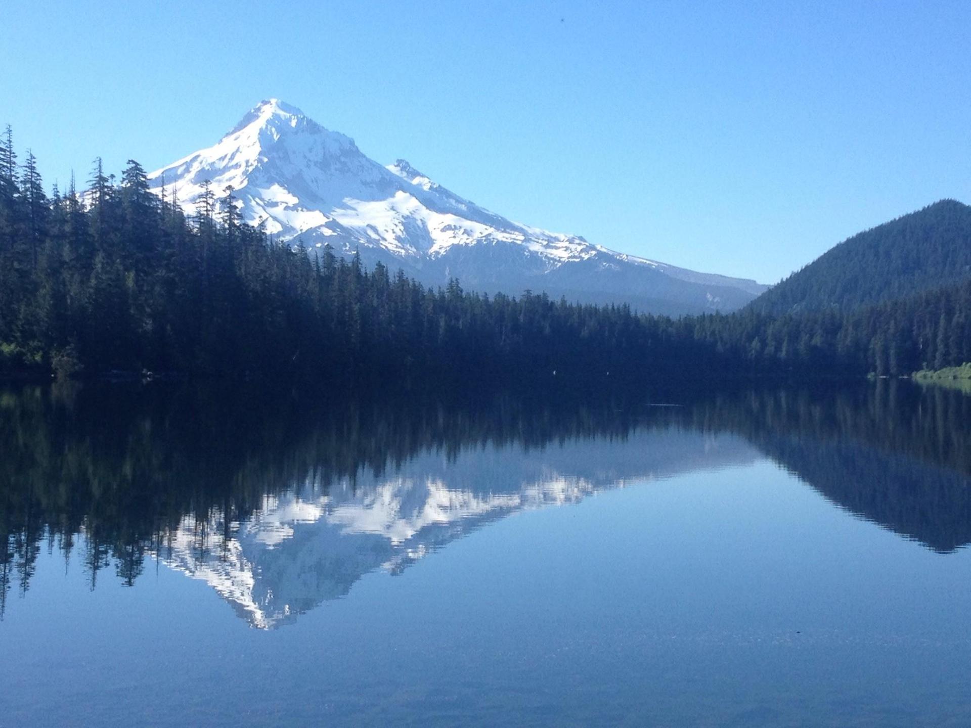 Snow-capped mountain reflected in a calm lake with evergreen forests under clear skies.