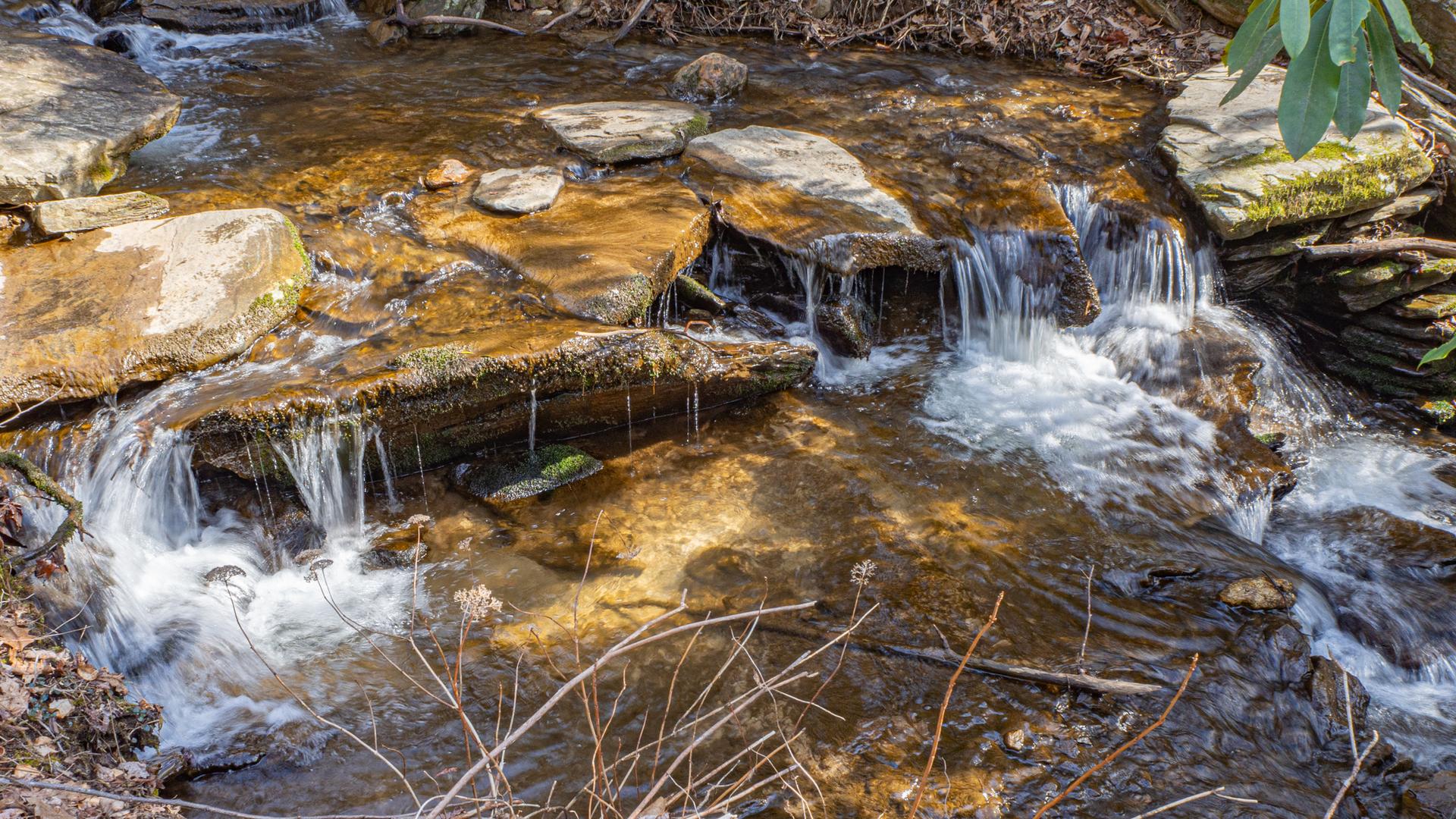 Sunny stream cascading over rocks in a natural forest setting.