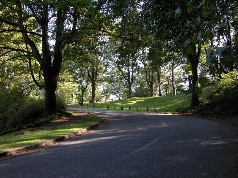 Paved road curves through a sunny park with large trees and green grass.