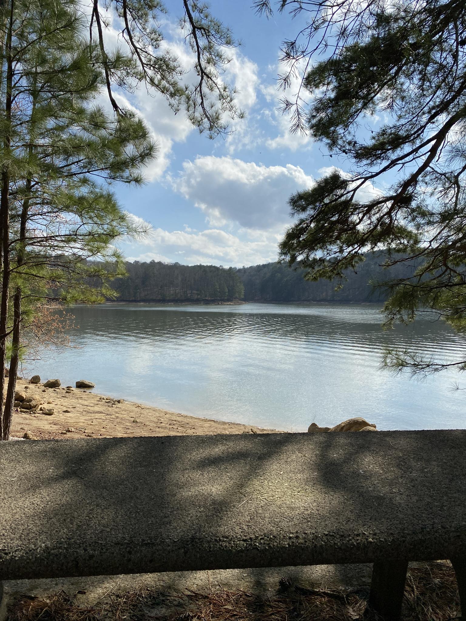 Lake view from behind a stone bench, framed by trees on a sunny day.