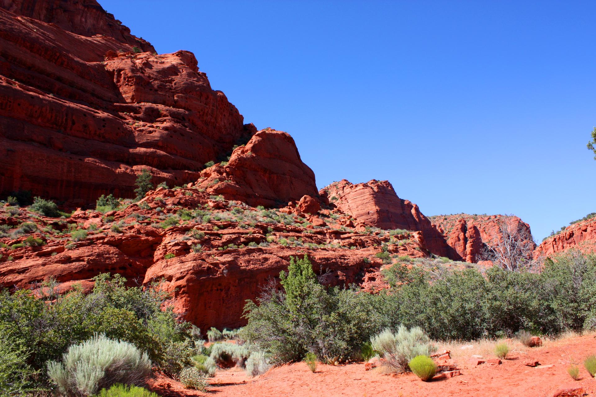 Towering red rock cliffs and formations with green desert vegetation.