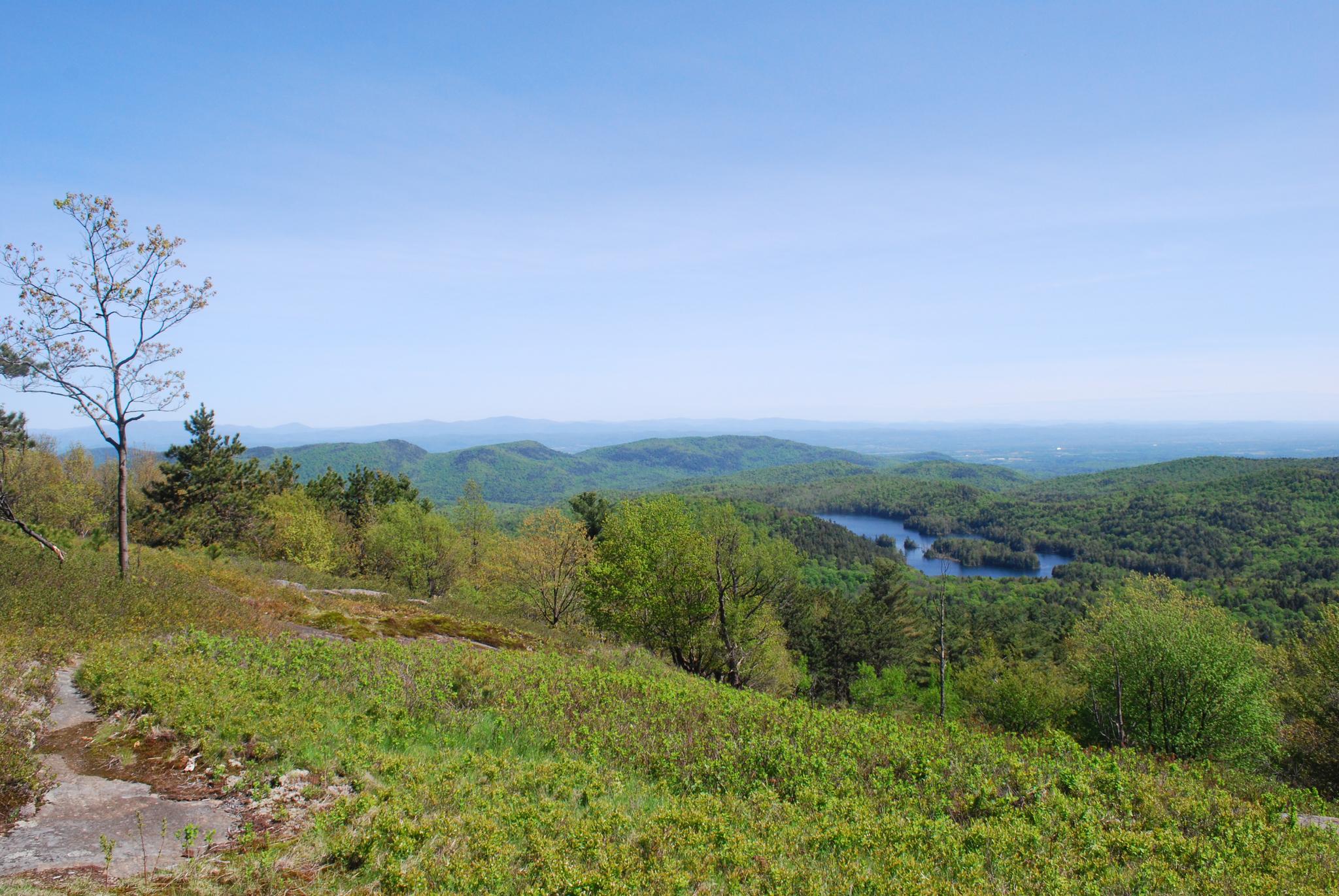 Sunny panoramic view of green forested hills and a small lake.